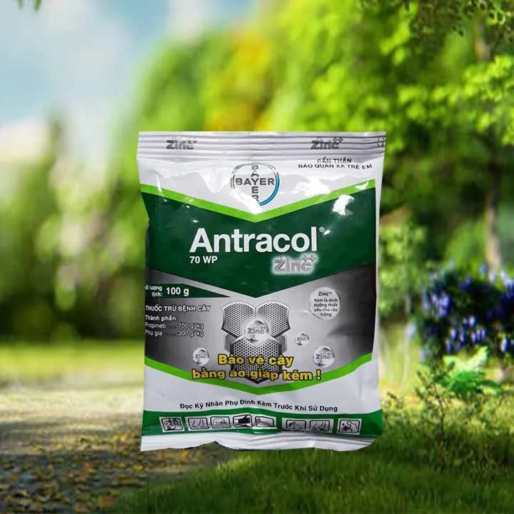 Antracol 70WP