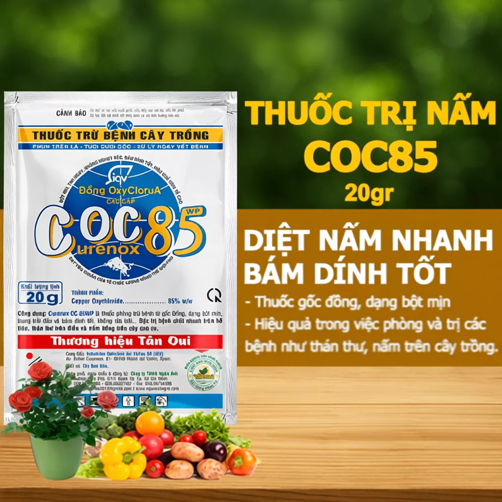 Coc 85
